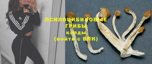 крисы Вязники